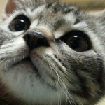 俺(とら)の休憩ポイント