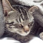 今日はココ!