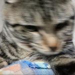 エキサイティング