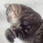【日常】そんな寝顔のときもあるよね。