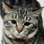 【日常】狙ってる,,,だけ?