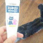 とらさんおすすめ毛玉対策~スッキリン 猫の毛玉とり