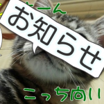 【お知らせ】とらさんの日常生活はこちらからになりました