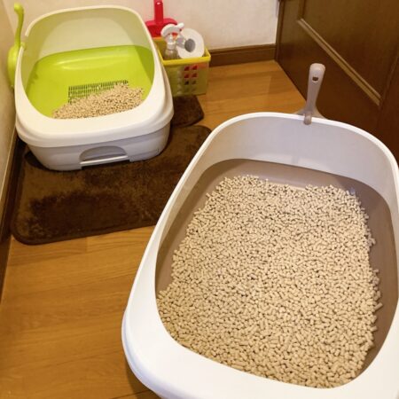 1日のトイレの平均回数