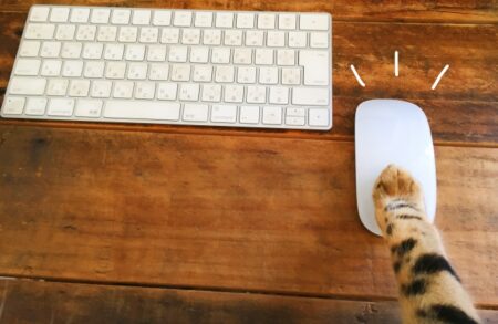 猫 パソコン 仕事