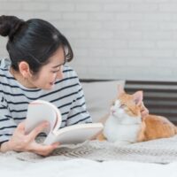 猫 好きなところ
