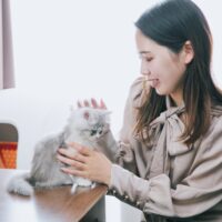子猫