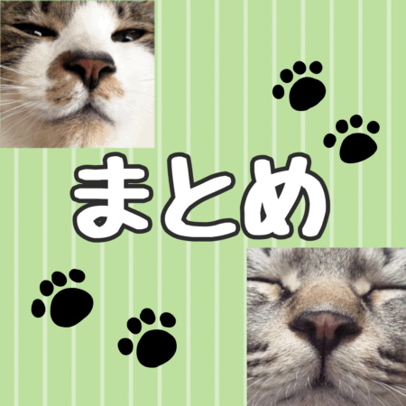 猫 飼い方豆知識 まとめ