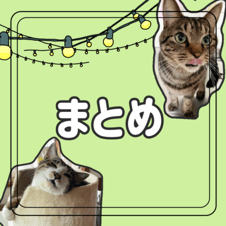 猫 飼い方豆知識 まとめ