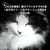 【2026年最新】猫のブラシおすすめ3選！抜け毛ケア・人気グルーミング商品を徹底比較