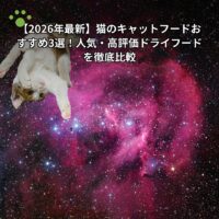 【2026年最新】猫のキャットフードおすすめ3選！人気・高評価ドライフードを徹底比較