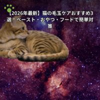 【2026年最新】猫の毛玉ケアおすすめ3選！ペースト・おやつ・フードで簡単対策