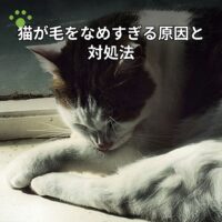 猫が毛をなめすぎる原因と対処法