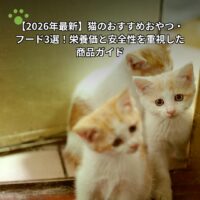【2026年最新】猫のおすすめおやつ・フード3選！栄養価と安全性を重視した商品ガイド