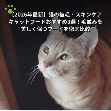 【2026年最新】猫の被毛・スキンケアキャットフードおすすめ3選！毛並みを美しく保つフードを徹底比較