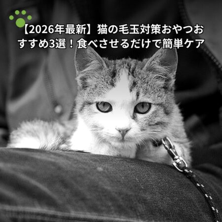 【2026年最新】猫の毛玉対策おやつおすすめ3選！食べさせるだけで簡単ケア