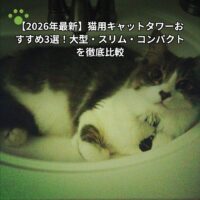 【2026年最新】猫用キャットタワーおすすめ3選！大型・スリム・コンパクトを徹底比較