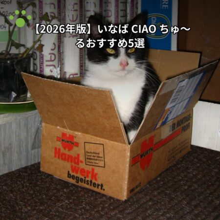 【2026年版】いなば CIAO ちゅ〜るおすすめ5選