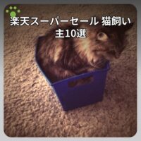 楽天スーパーセール 猫飼い主10選