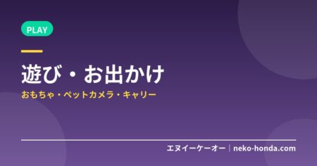 Prime Dayで買うべき猫の遊び・お出かけグッズ｜おもちゃ・ペットカメラ・キャリー