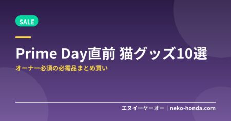 Amazon Prime Day直前！猫オーナーが買うべき必需品10選