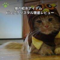 猫の給水アイテム ピュアクリスタル