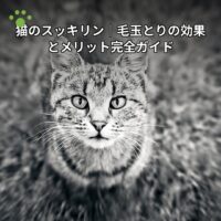 猫のスッキリン 毛玉とりの効果とメリット