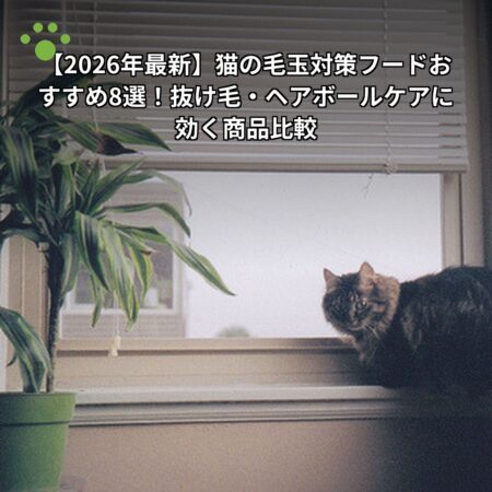 猫の毛玉対策フードおすすめ8選