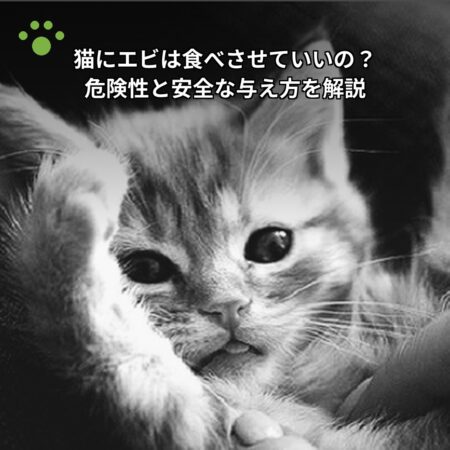 猫にエビは食べさせていい？