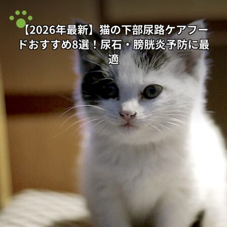 猫の下部尿路ケアフードおすすめ8選